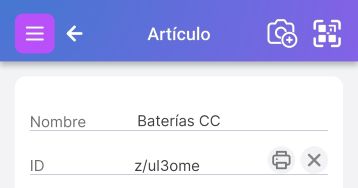 Página de un elemento que muestra varios campos de atributos, incluyendo Nombre, ID, Tipo, Categoría, Dirección, Ubicación y Archivos adjuntos.