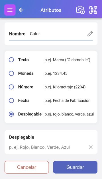 Imagen de la página 'Editar atributo personalizado'. El nombre