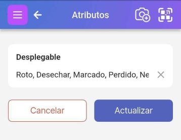 Página de edición de atributos que muestra una lista de valores desplegables de Flag.