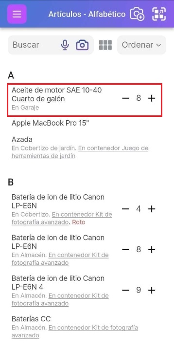Artículo de horca mostrado en la lista de artículos con cantidad 2