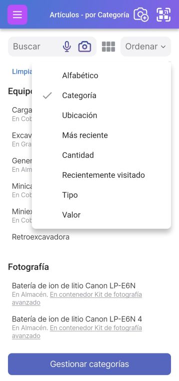 Imagen de la página Lista de elementos (Elementos) por Categoría con un menú desplegable que muestra las opciones de agrupación, incluyendo por Categoría