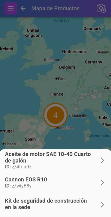 Detalle de un mapa con algunos elementos.