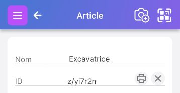 Page d'article montrant divers champs d'attributs, notamment Nom, ID, Type, Catégorie, Adresse, Lieu et Pièces jointes