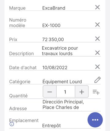 Page d'article montrant divers champs de caractère, nombre, argent, texte long, date, quantité et drapeau