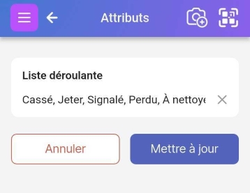 Montre la possibilité de modifier les valeurs de la liste déroulante pour l'attribut Drapeau.