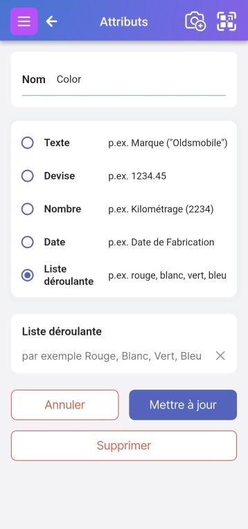 Image de la page 'Modifier l'attribut personnalisé'. Le nom