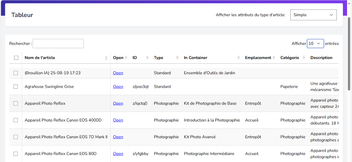 Tableur avec seulement les attributs Nom de l'article, ID, Type, Lieu, Catégorie et Date d'ajout