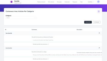 Rapport présentant les conteneurs et leur contenu, organisés par catégorie.