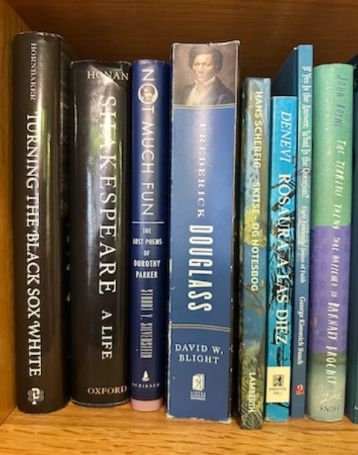 Photo d'une étagère remplie de livres, destinée à la reconnaissance par l'IA.