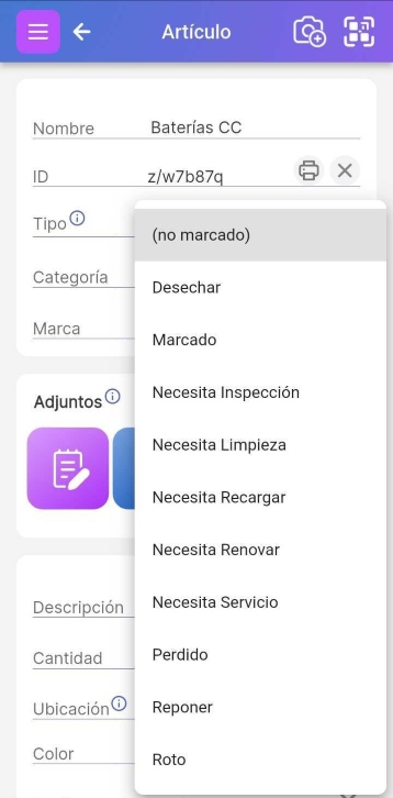 Pantalla de artículo que muestra el menú desplegable del campo "Flag" con opciones de estado predeterminadas como Roto, Perdido y Reponer.