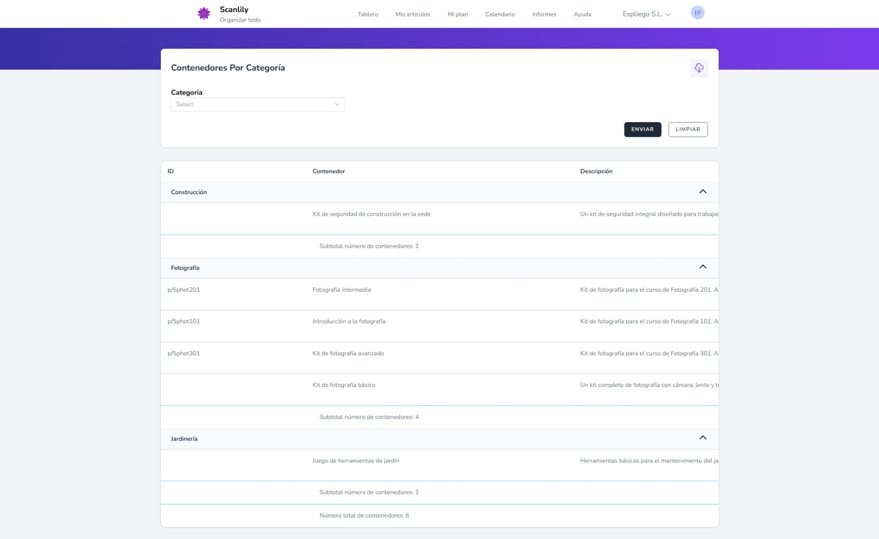Informe que muestra contenedores organizados por categoría