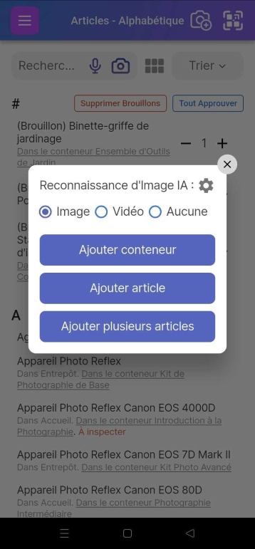 Fenêtre contextuelle affichant les options Ajouter un conteneur, Ajouter un élément ou Ajouter plusieurs éléments