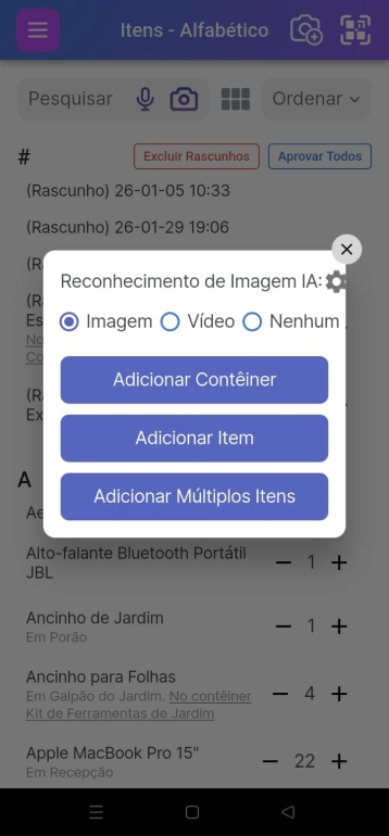 Popup mostrando opções para Adicionar Contêiner, Adicionar item ou Adicionar Vários Itens