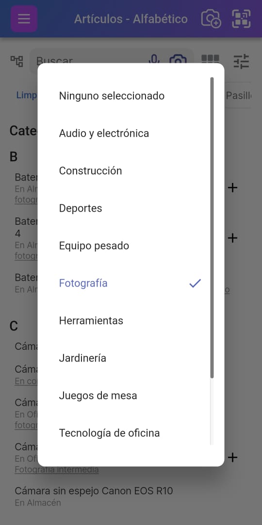 Imagen de la lista de categorías seleccionada en la página de Lista de artículos
