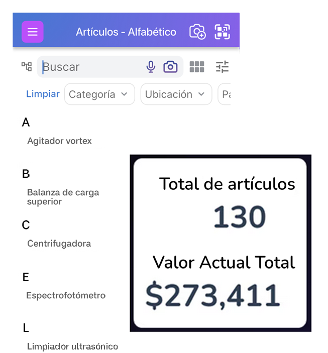 Lista de artículos en la pantalla de artículo con un cuadro de llamada que muestra el total de artículos y el valor actual total