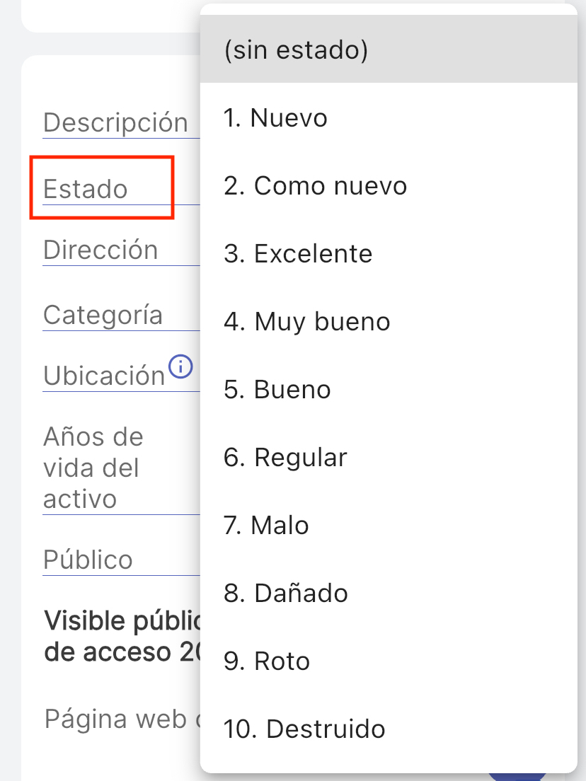 Pantalla de un elemento que muestra el campo "Bandera" seleccionado y los posibles valores de bandera mostrados.