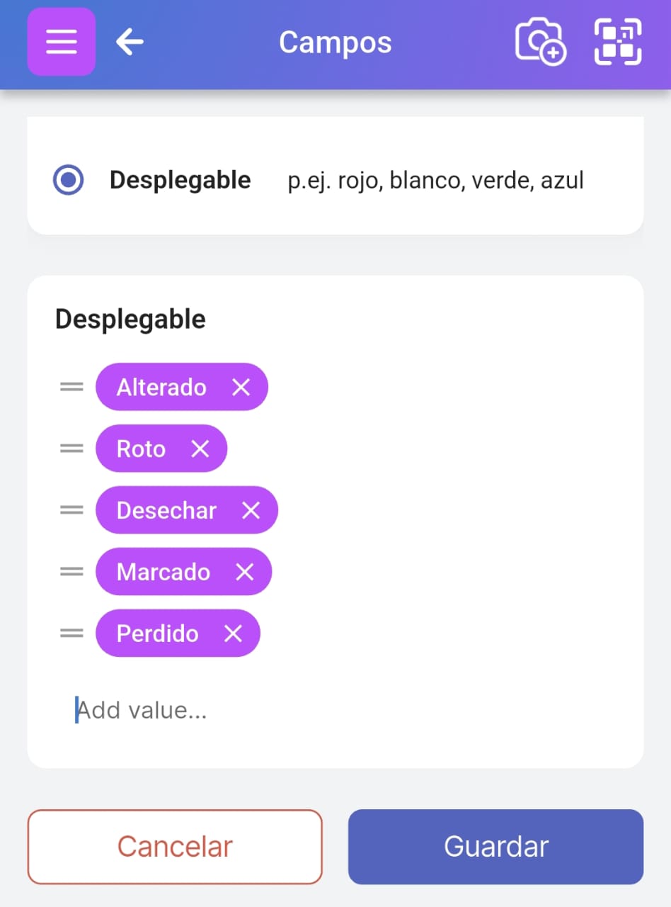Imagen que muestra la opción de personalización de los valores del menú desplegable de banderas para usuarios Pro o Business