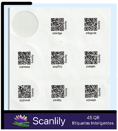 Imagen de la etiqueta quitada del libro