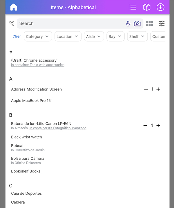 Versión web de la interfaz de la aplicación