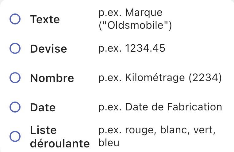 Partie de l'écran mobile Scanlily montrant comment sélectionner le type de champ personnalisé à choisir : texte, devise, nombre, date ou liste déroulante.