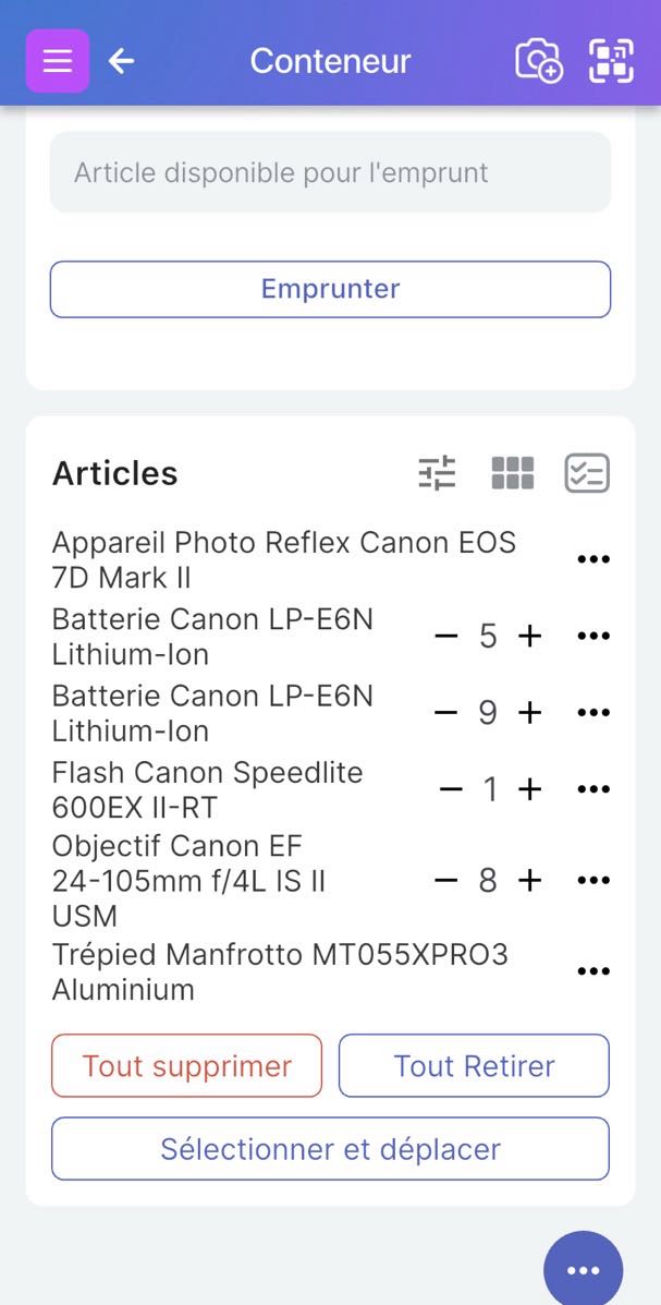 Image d'articles affichés en bas de la page du conteneur avec des quantités variables