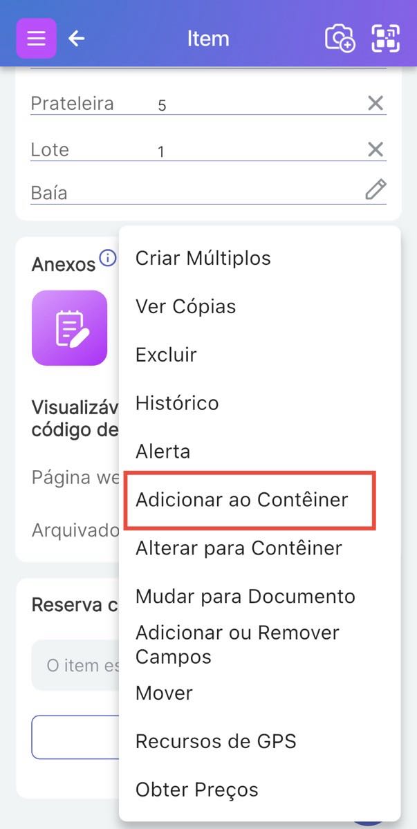 Imagem do menu inferior direito aberto com 'Mudar para Contêiner' destacado