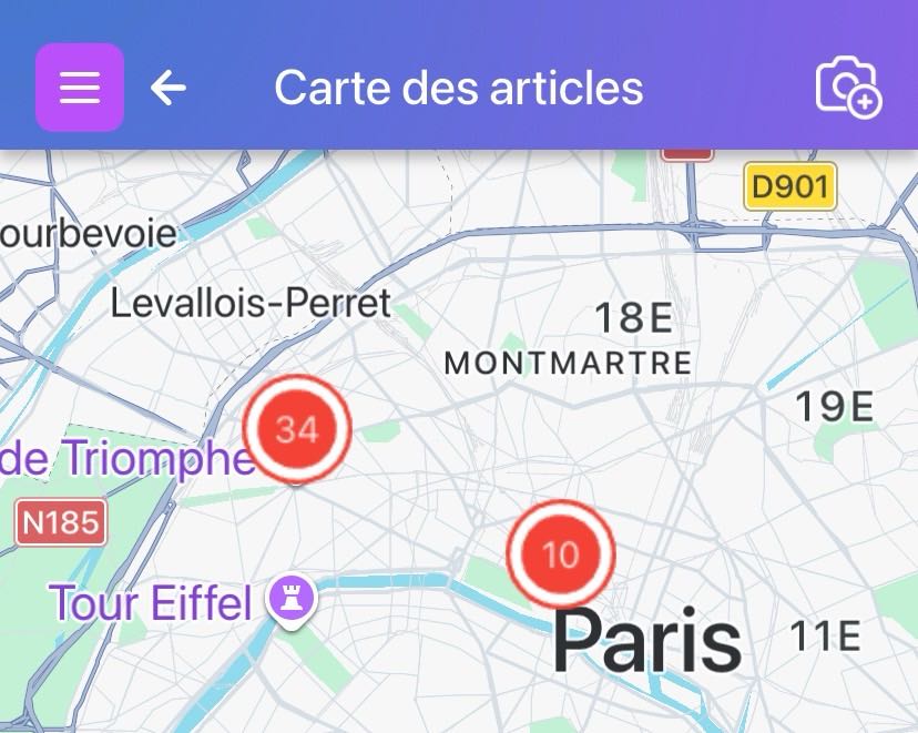 Deux épingles montrant les emplacements des articles Scanlily sur l'écran de la carte des articles