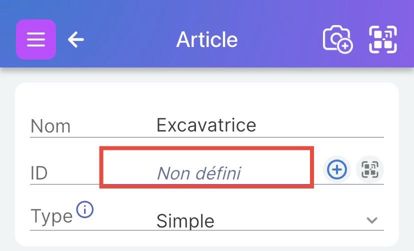 La section ID en haut de la page de détails de l'article avec l'ID non défini.