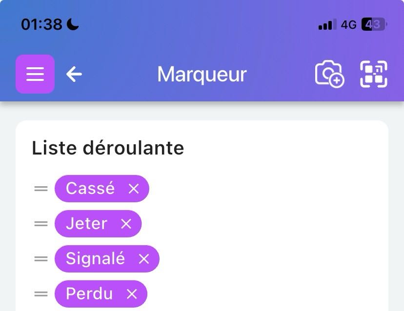 Image montrant l'option de personnalisation des valeurs du menu déroulant du drapeau pour les utilisateurs Pro ou Business
