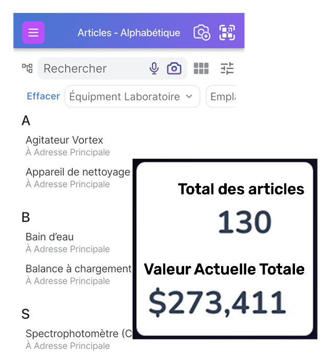 Liste d'articles sur l'écran d'article avec une bulle d'information affichant le total des articles et la valeur actuelle totale