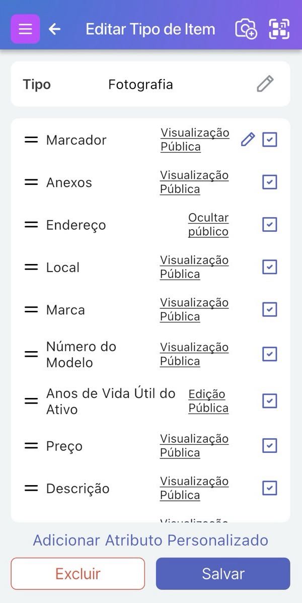Página Editar Tipo de Item com atributos listados, incluindo o atributo Sinalizador junto com um lápis de edição ao lado