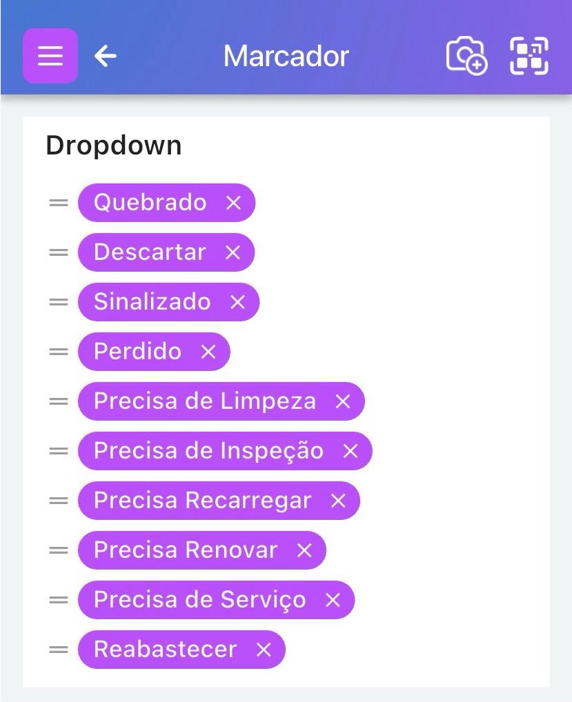 Mostra a capacidade de editar os valores do menu suspenso para o atributo Sinalizador.