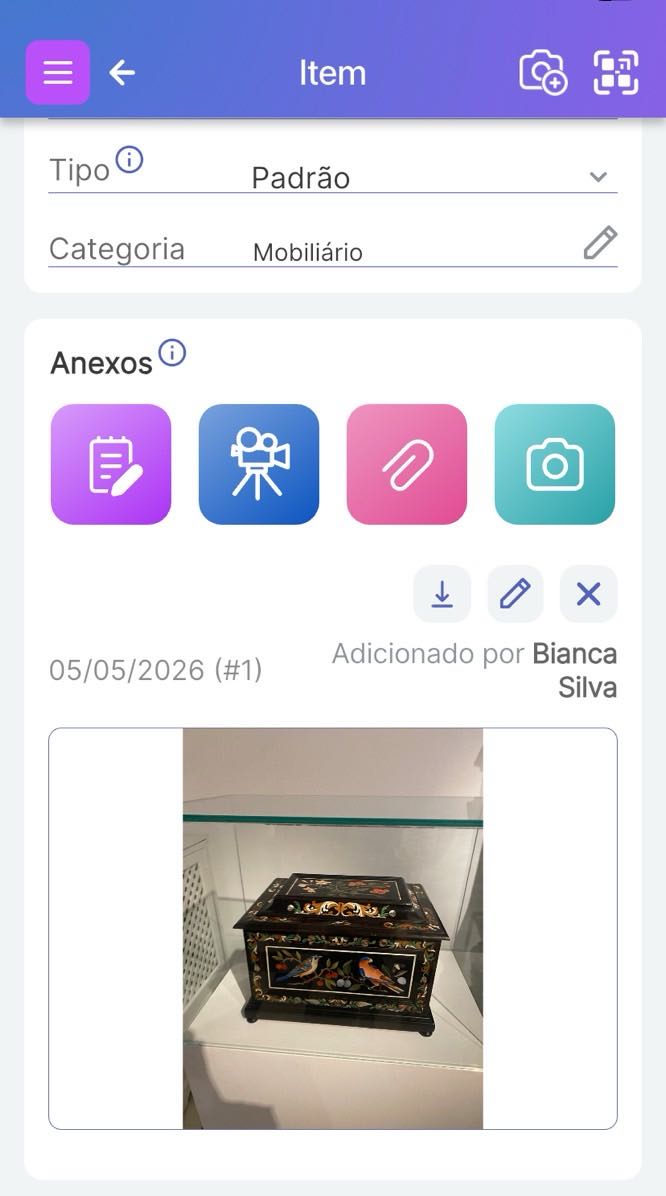 Item retratado na tela de item do Scanlily