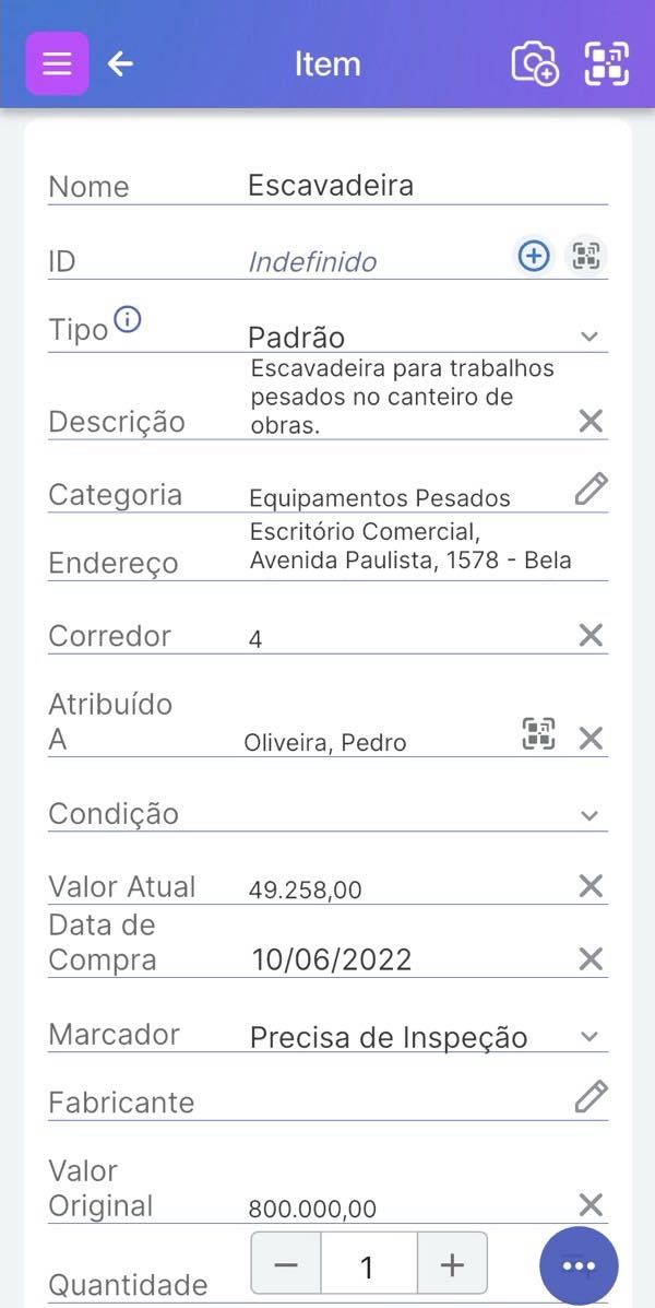 Página do item mostrando vários campos de caractere, número, moeda, texto longo, data, quantidade e sinalização.