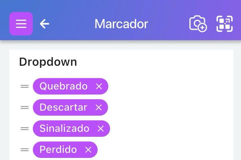 Imagem mostrando a opção de personalização dos valores do menu suspenso de sinalização para usuários Pro ou Business