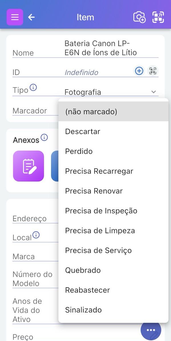 Tela do item mostrando o menu suspenso do campo Sinalizador com opções de status padrão como Quebrado, Perdido e Reabastecer