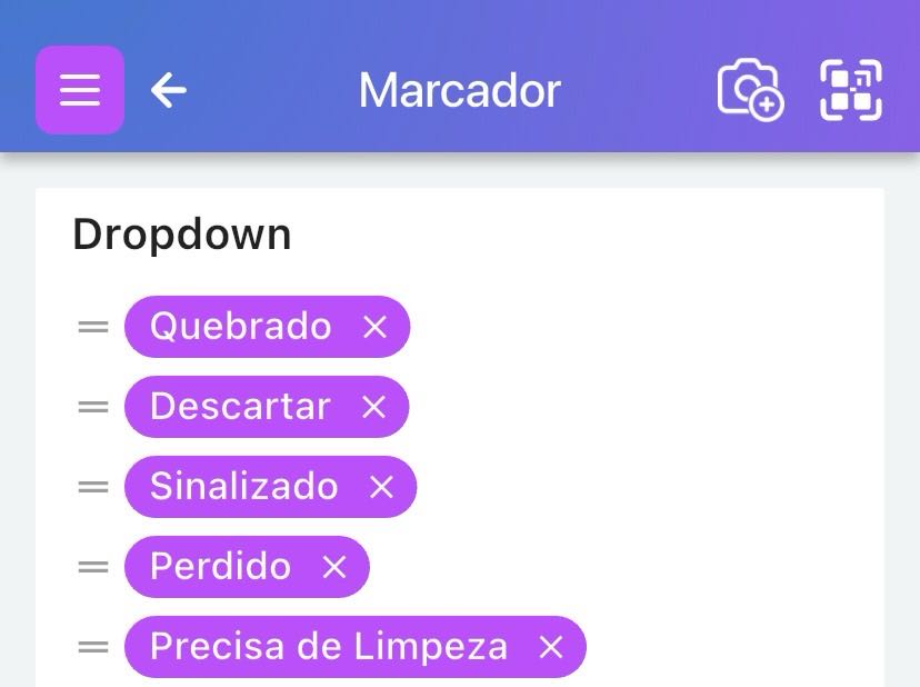 Página de Edição de Atributo mostrando a lista de valores do menu suspenso Sinalizador