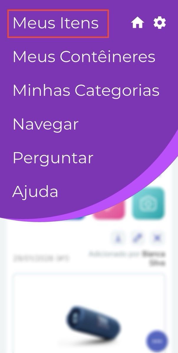 Imagem do Menu com Meus Itens selecionado