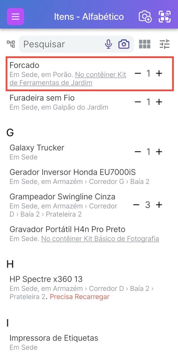 Item Forcado mostrado na lista de itens com quantidade 2