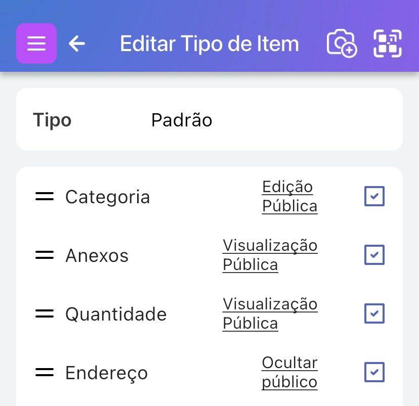 Página Editar Tipo de Item mostrando opções de alternância de Visualização Pública para diferentes atributos