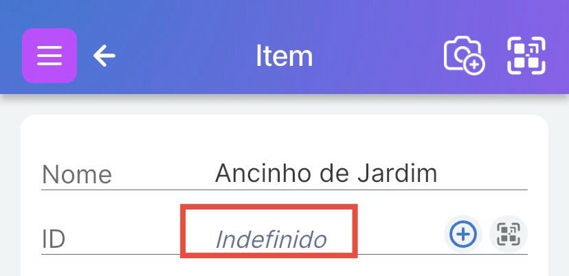 A seção ID no topo da página de detalhes do Item com o ID indefinido