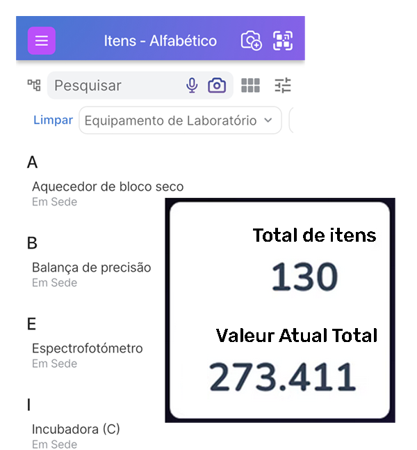 Lista de itens na tela de itens com uma caixa de destaque mostrando o total de itens e o valor total atual